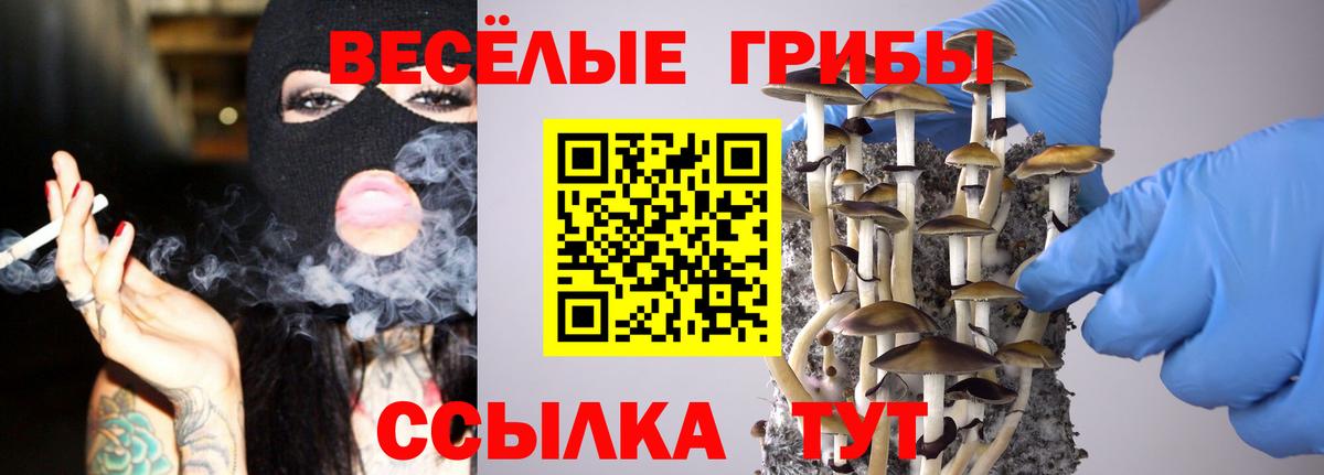 как найти закладки  Галлюциногенные грибы ЛСД  Вход с VPN  Артёмовский 